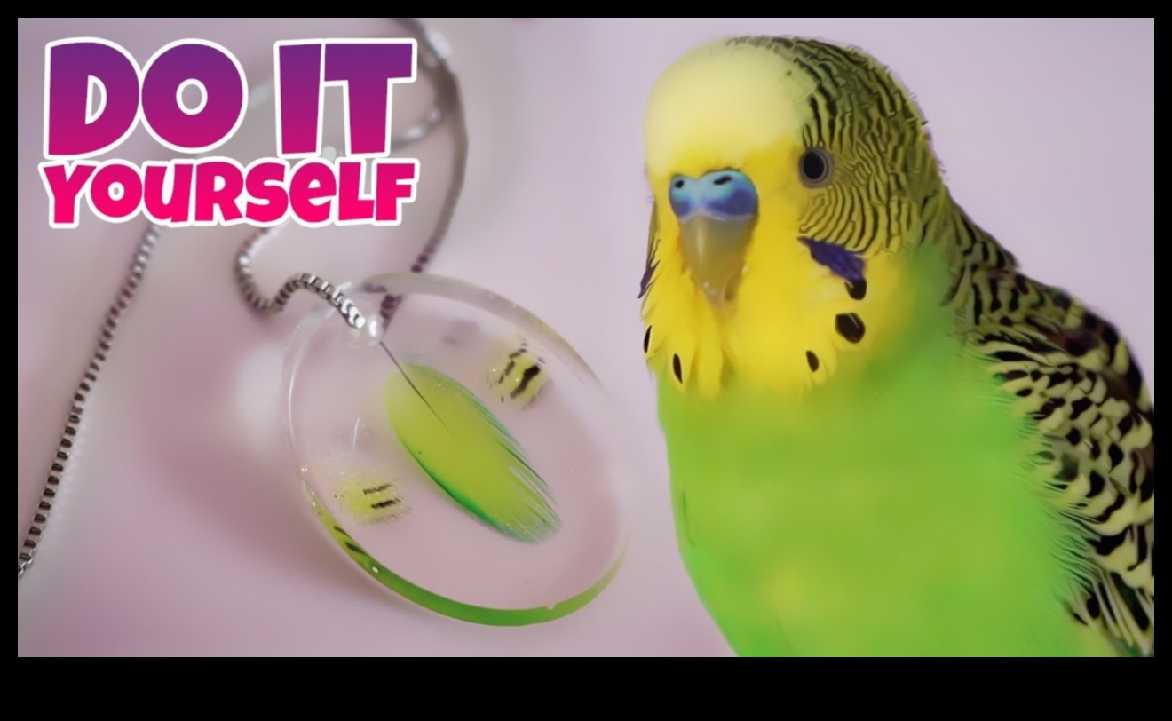 Feathered Finery: Accessorizing Your Pet Bird in Luxury