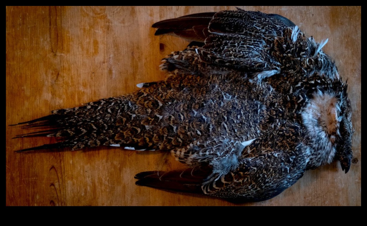 Feathered Finery: Accessorizing Your Pet Bird in Luxury