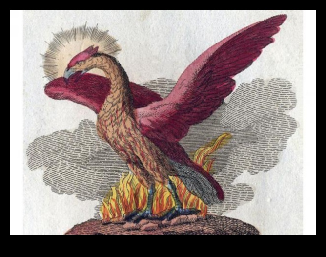 Feathery Folklore Birds in Myths and Legends 1