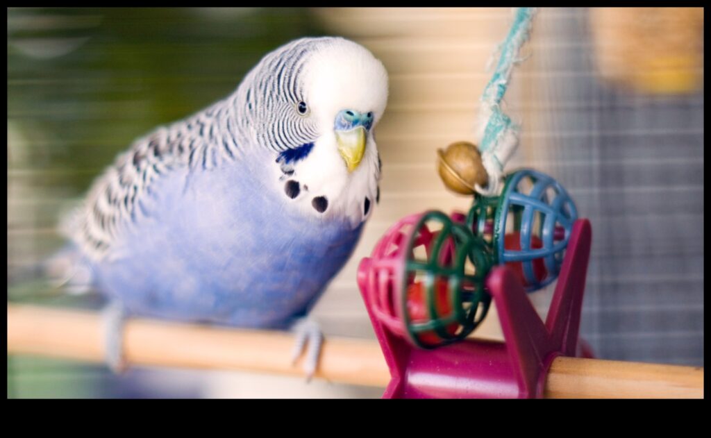 Feathery Fun Entertaining Activities for Pet Birds 1