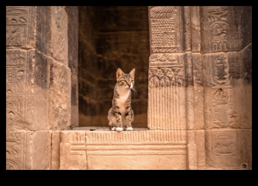 Feline Fables Exploring Mythological Cats in Cultures Worldwide 1