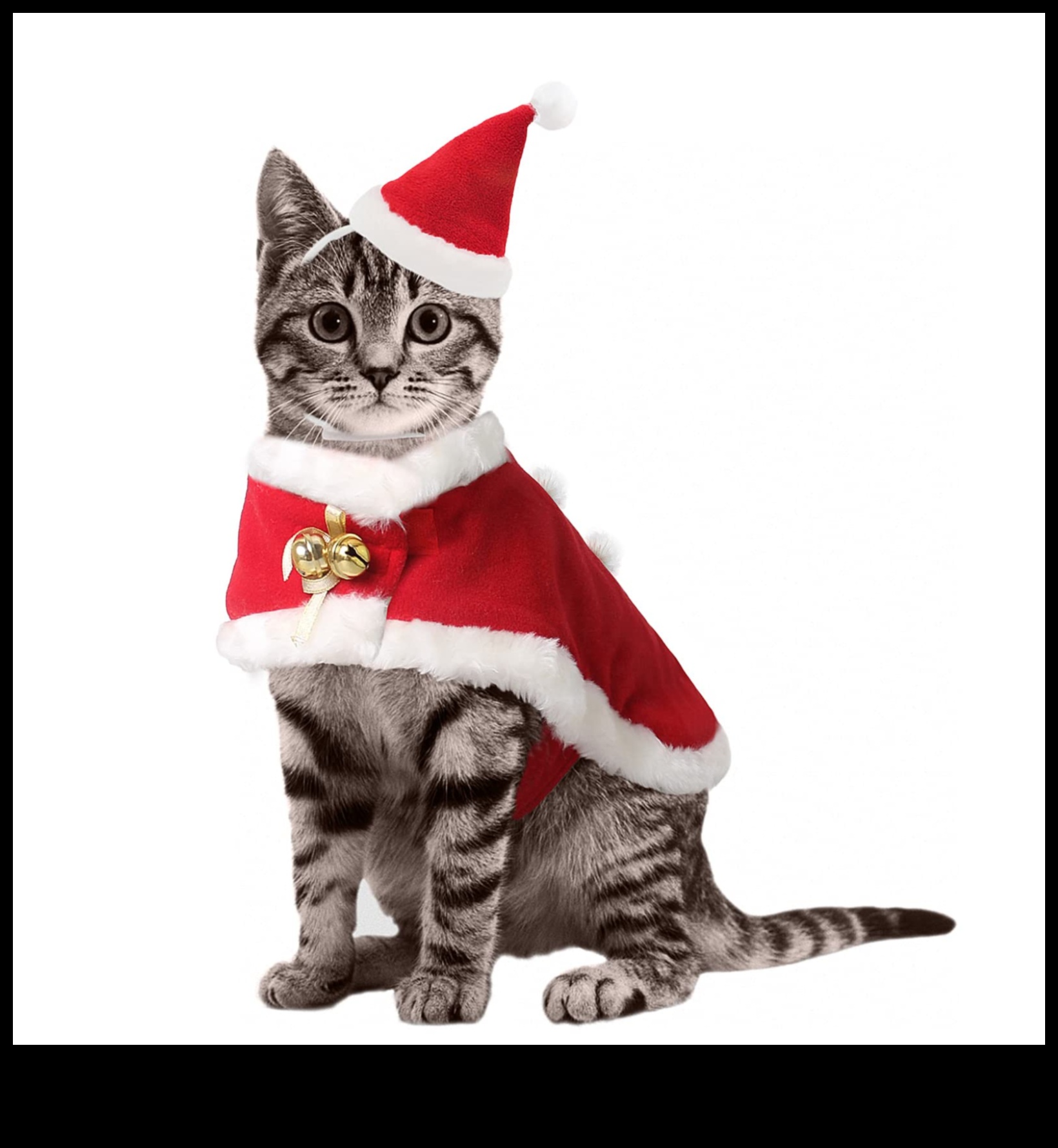 Feline Festivities: Accessories for Special Occasions