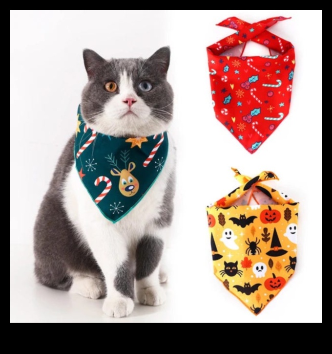 Feline Finery: Elegant Accessories to Adorn Your Cat