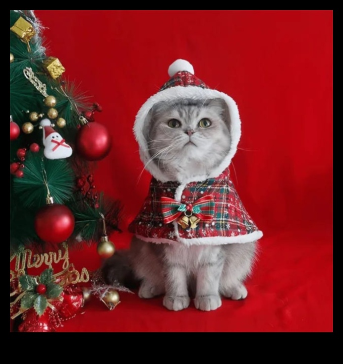 Feline Finery: Elegant Accessories to Adorn Your Cat