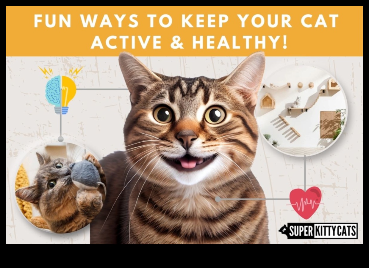 Feline Fitness Fiesta: Adding Variety to Your Cat's Exercise Routine