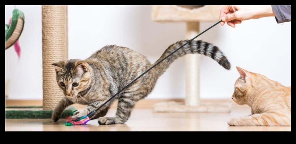 Feline Fitness Incorporating Exercise into Your Cat's Routine 1