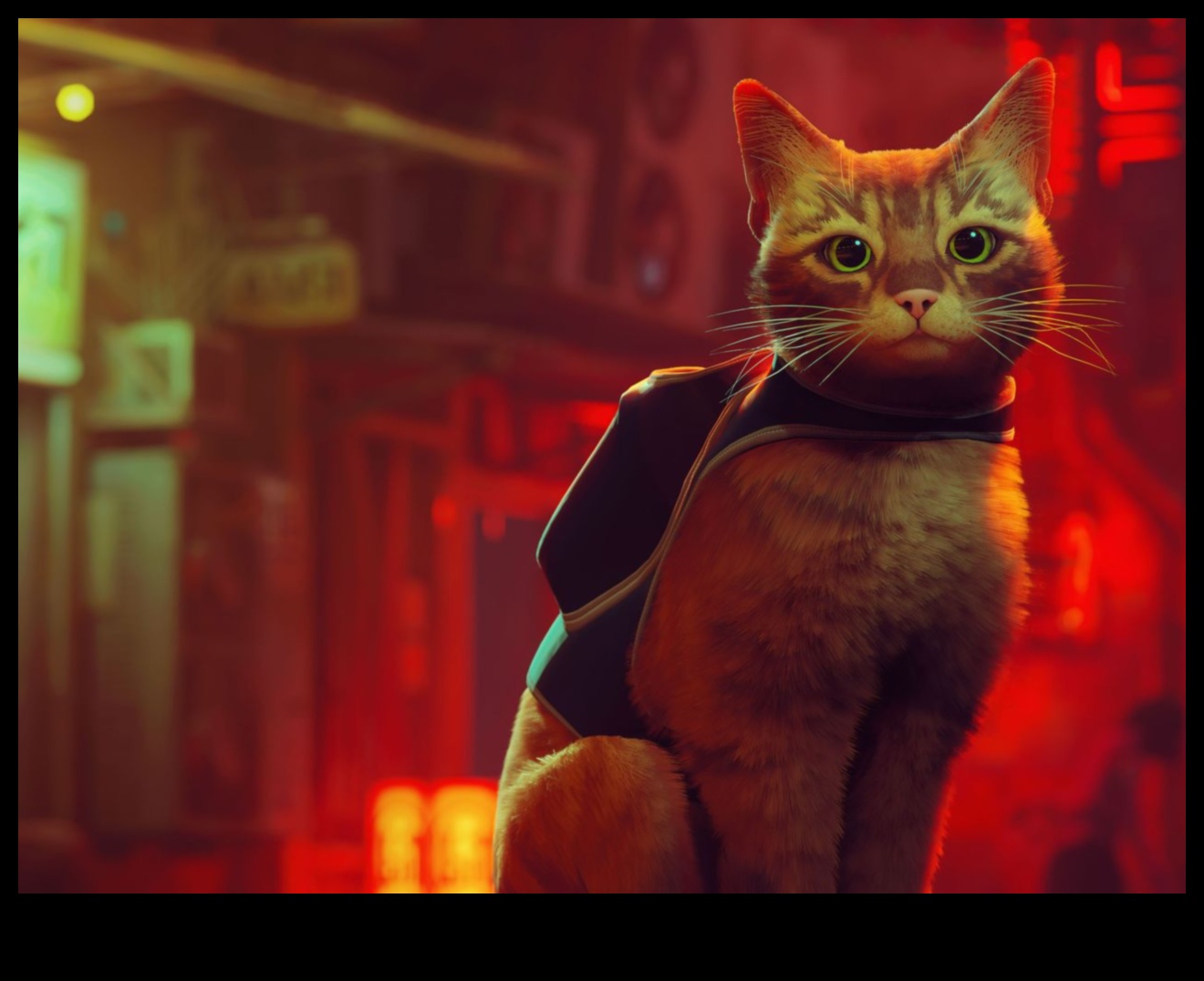 Feline Freestyle Dancing Games for Cats and Their Owners 3 Feline Freestyle: Dancing Games for Cats and Their Owners