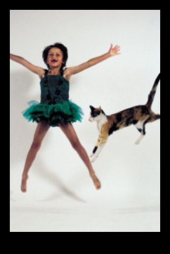 Feline Freestyle Dancing Games for Cats and Their Owners 5 Feline Freestyle: Dancing Games for Cats and Their Owners
