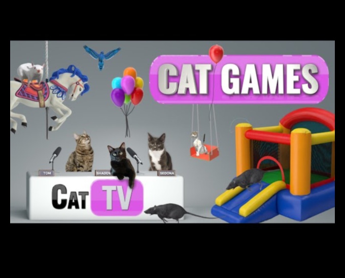 Feline Frolics: Hilarious Games for Playful Cats