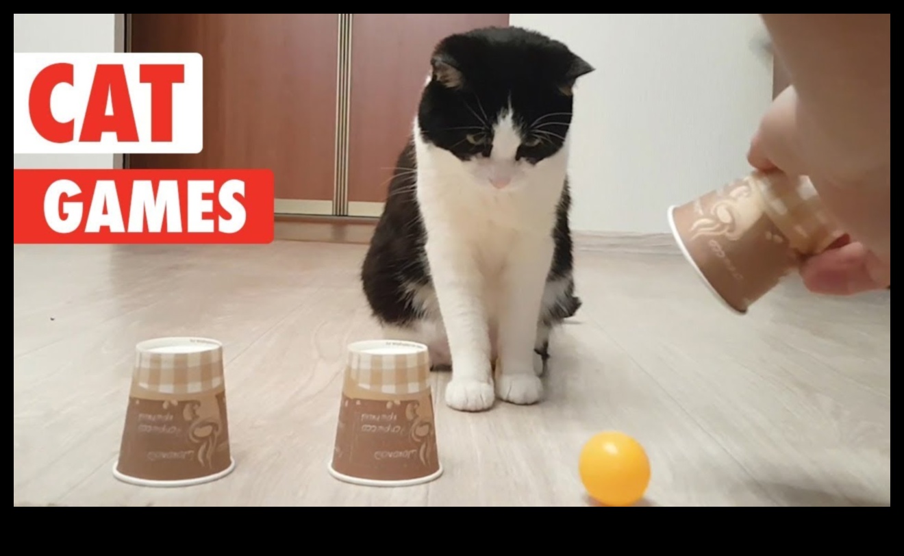 Feline Frolics: Hilarious Games for Playful Cats
