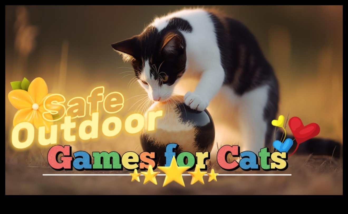 Feline Frolics: Hilarious Games for Playful Cats