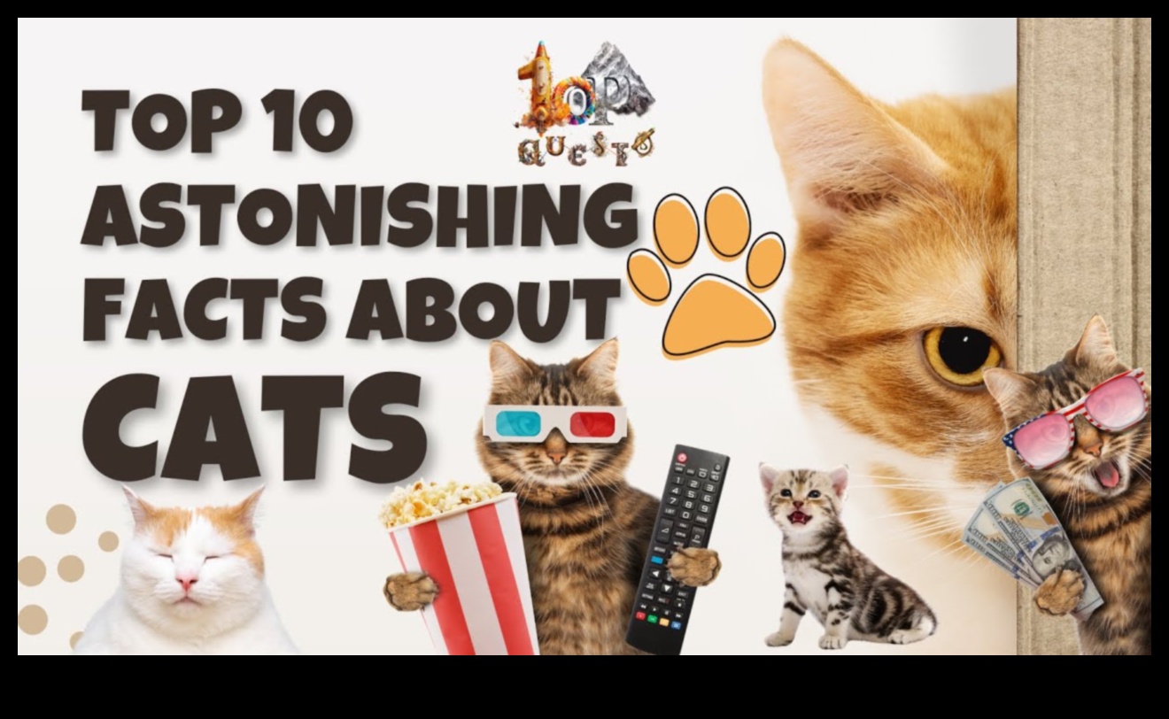 Feline Fun Facts: Unveiling More Intriguing Tidbits About Cats