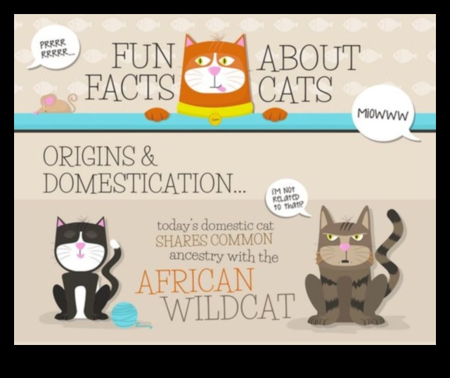 Feline Fun Facts: Unveiling More Intriguing Tidbits About Cats