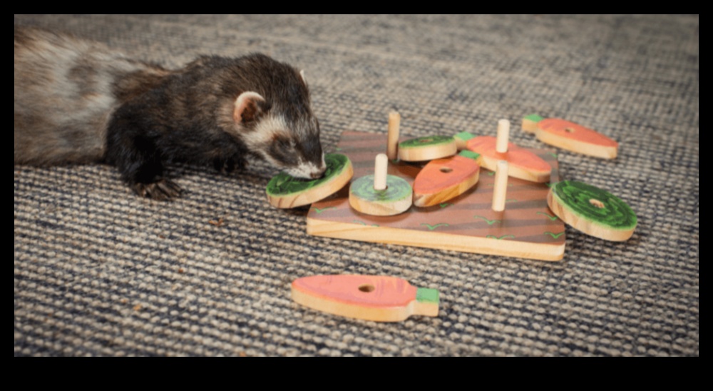 Ferret Funhouse: Enrichment Tips for Your Playful Ferrets