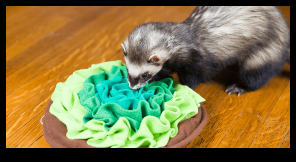 Ferret Funhouse: Enrichment Tips for Your Playful Ferrets