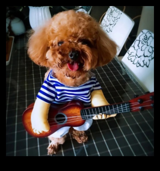 Fido's Fashion Forward Canine Style Trends for Every Season 1 Fido's Fashion Forward: Canine Style Trends for Every Season