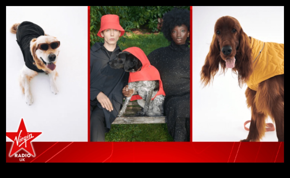 Fido's Fashion Forward Canine Style Trends for Every Season 2 Fido's Fashion Forward: Canine Style Trends for Every Season