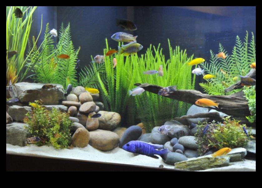 Fin-tastic Aquascapes: Creating Natural Environments for Fish