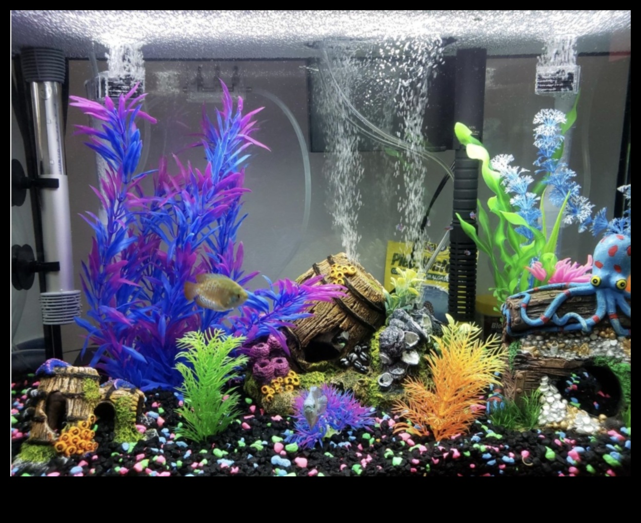 Fin-tastic Finds: Must-Have Accessories for Your Aquarium Pets