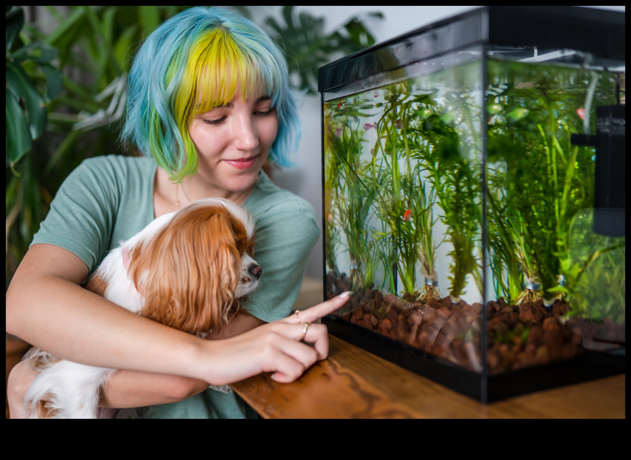Fin-tastic Fish Adventures: Stimulating Activities for Aquarium Pets