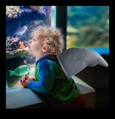 Finned Fashion: Stylish Accessories for Your Aquarium Pets