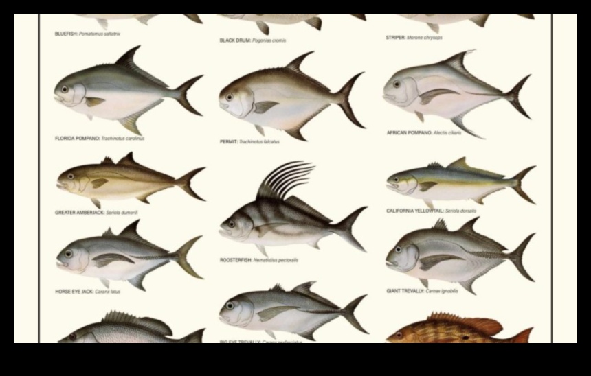 Finned Friends Continued: Fish with Remarkable Social Structures