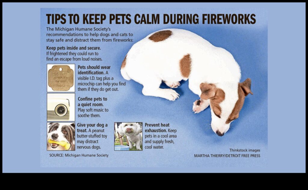 Fireworks Fear Managing Pet Anxiety During Loud Celebrations 1