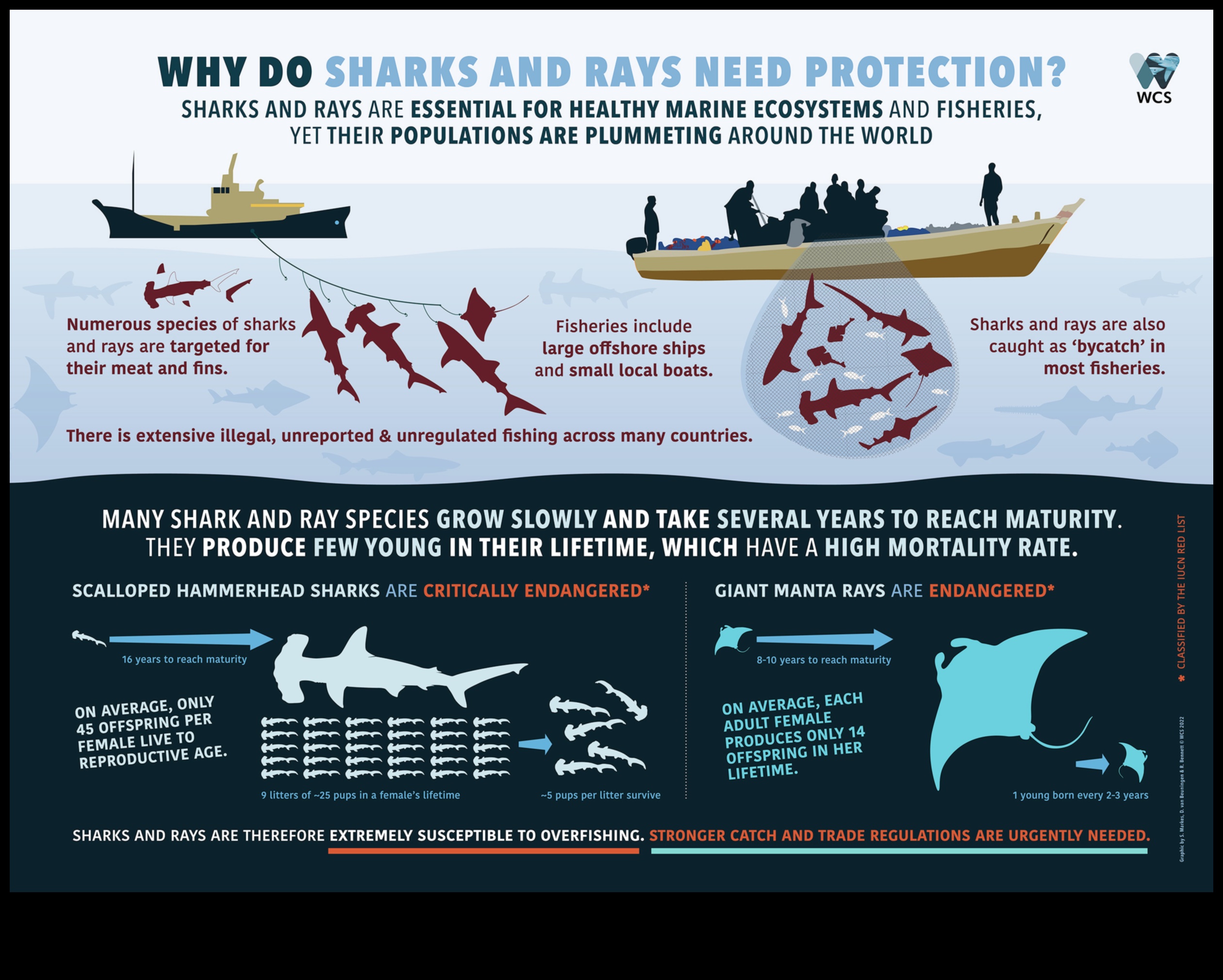 Fish Conservation Chronicles: Efforts to Protect Endangered Species