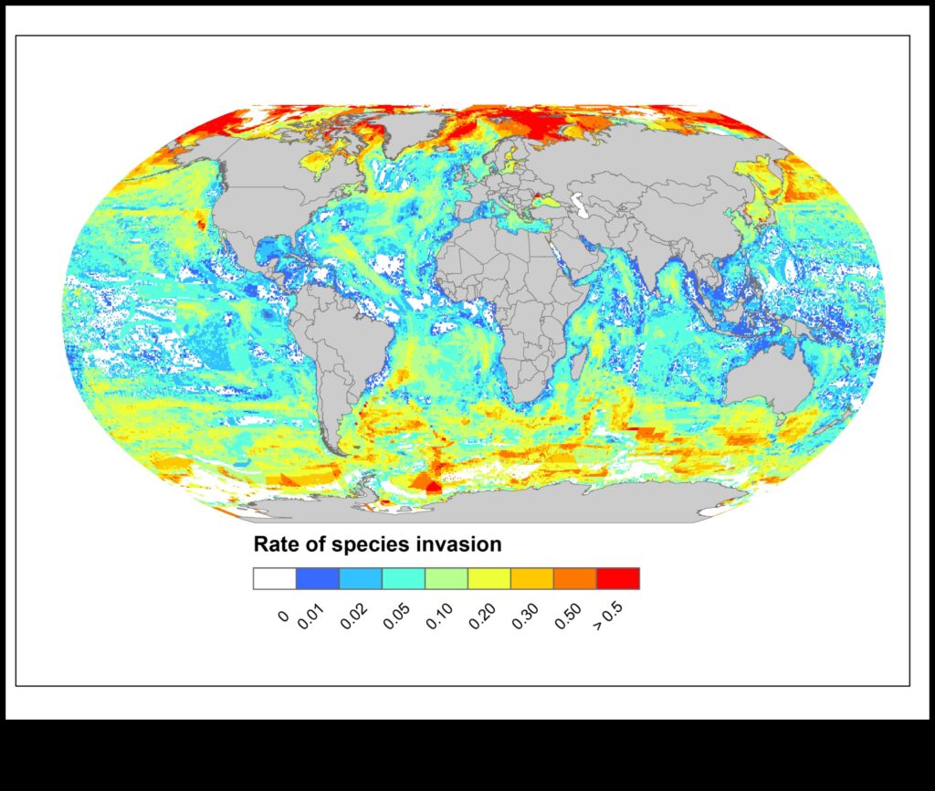 Fish Migration Mysteries Continued Tracking Patterns and Routes 1