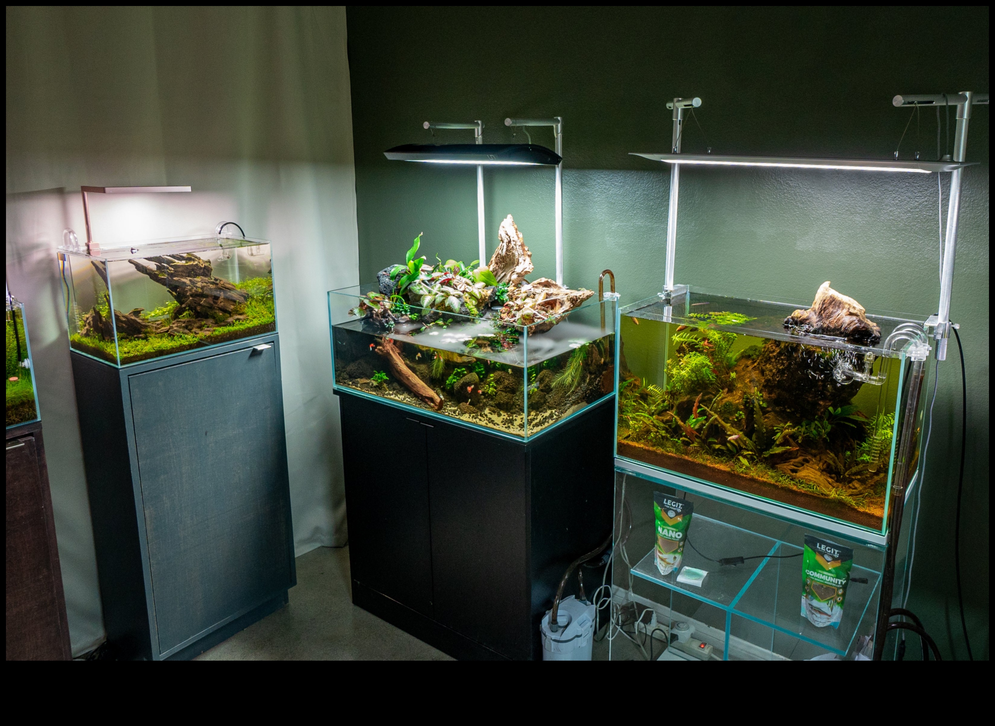 Fish Tank Artistry: Customizing Your Aquarium with Creative Designs