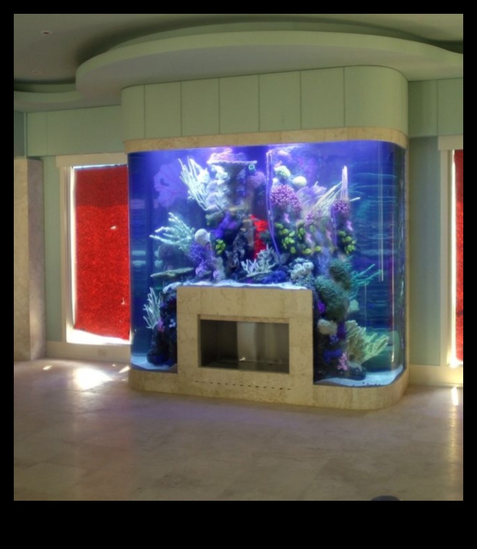 Fish Tank Artistry: Customizing Your Aquarium with Creative Designs