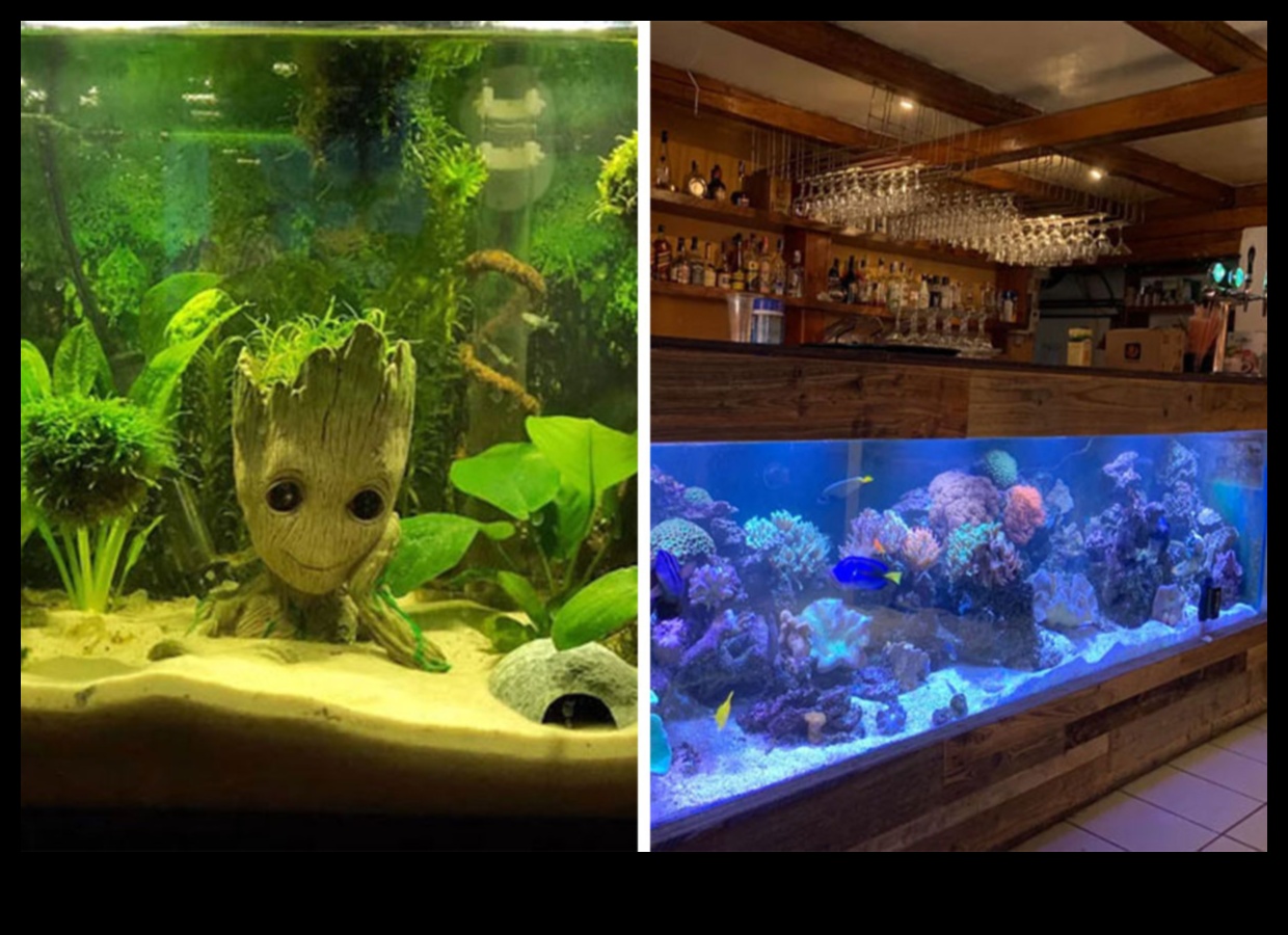 Fish Tank DIY Continued: Innovative Technology for Aquariums