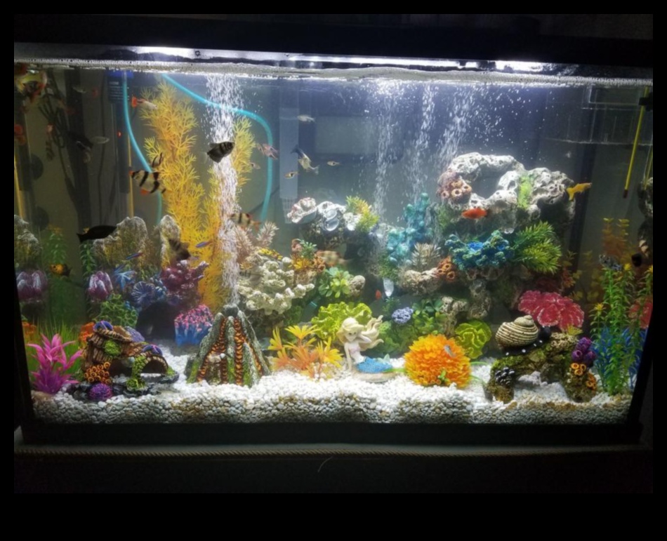 Fish Tank DIY Continued: Innovative Technology for Smart Aquariums
