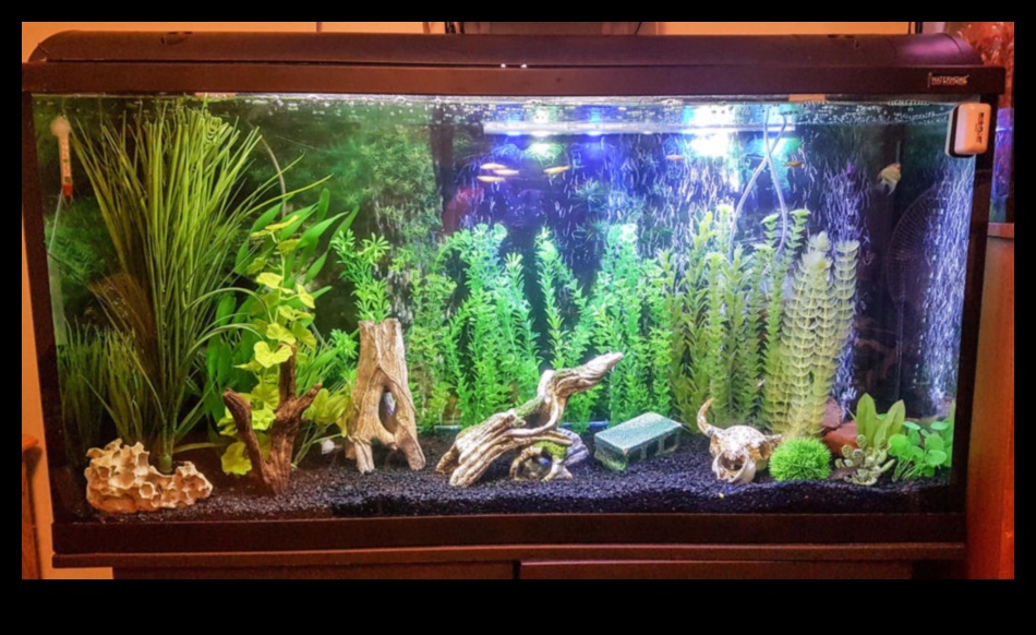 Fish Tank DIY Continued: Innovative Technology for Smart Aquariums