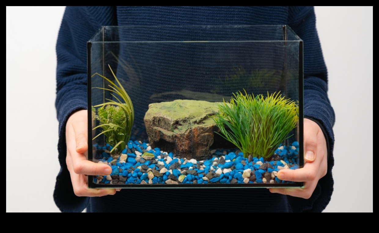 Fish Tank DIY Continued: Recycling and Upcycling in Aquarium Decor