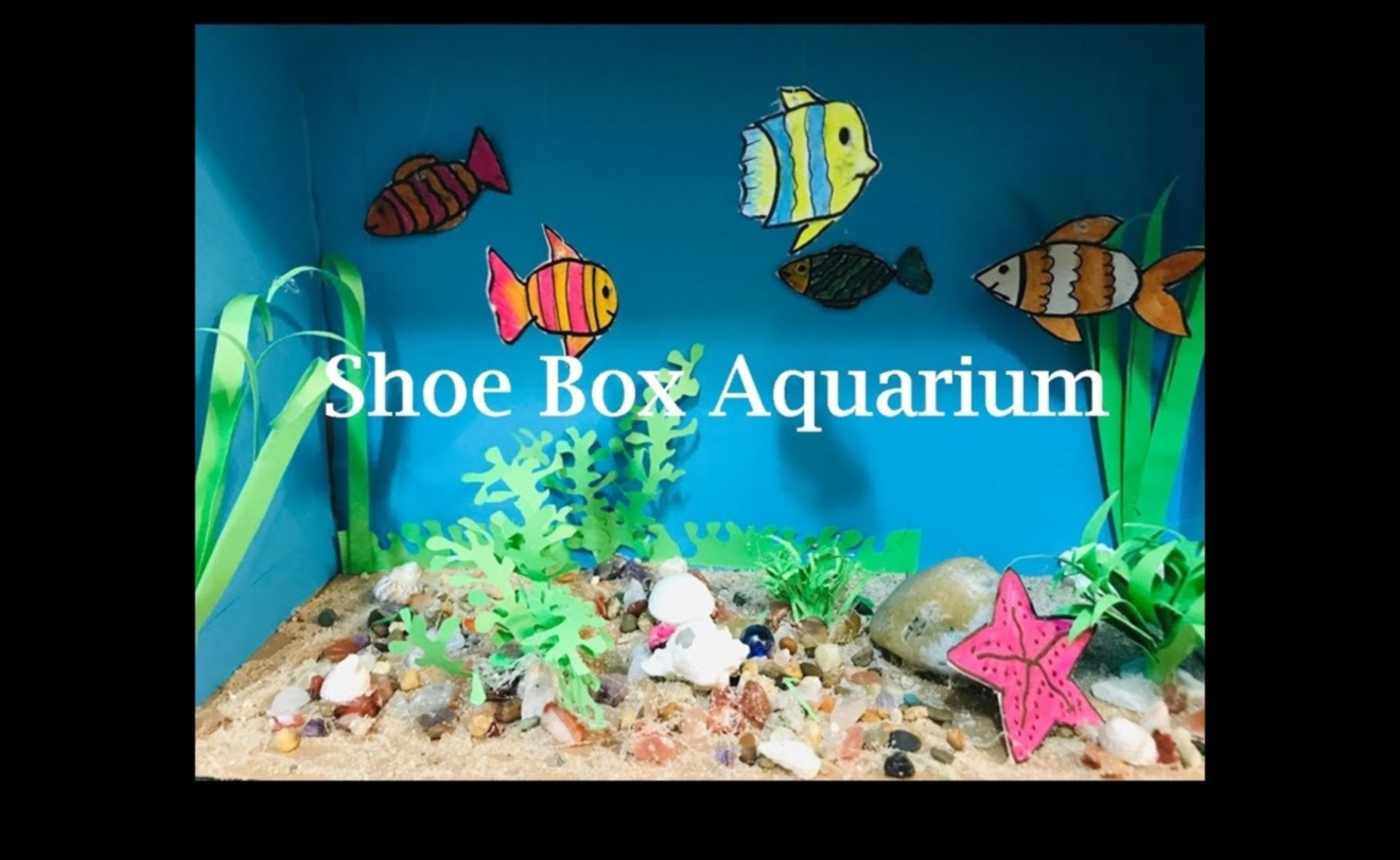 Fish Tank Decor DIY: Crafting Unique Environments for Your Fish