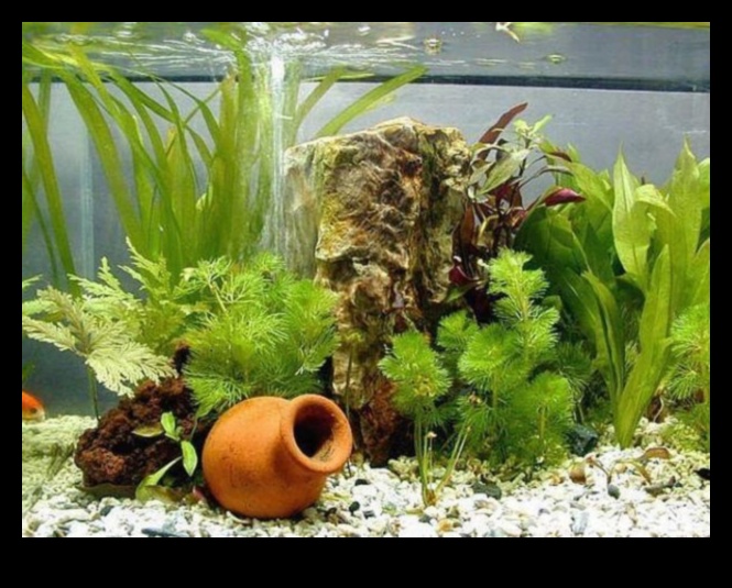 Fish Tank Decor DIY: Crafting Unique Environments for Your Fish
