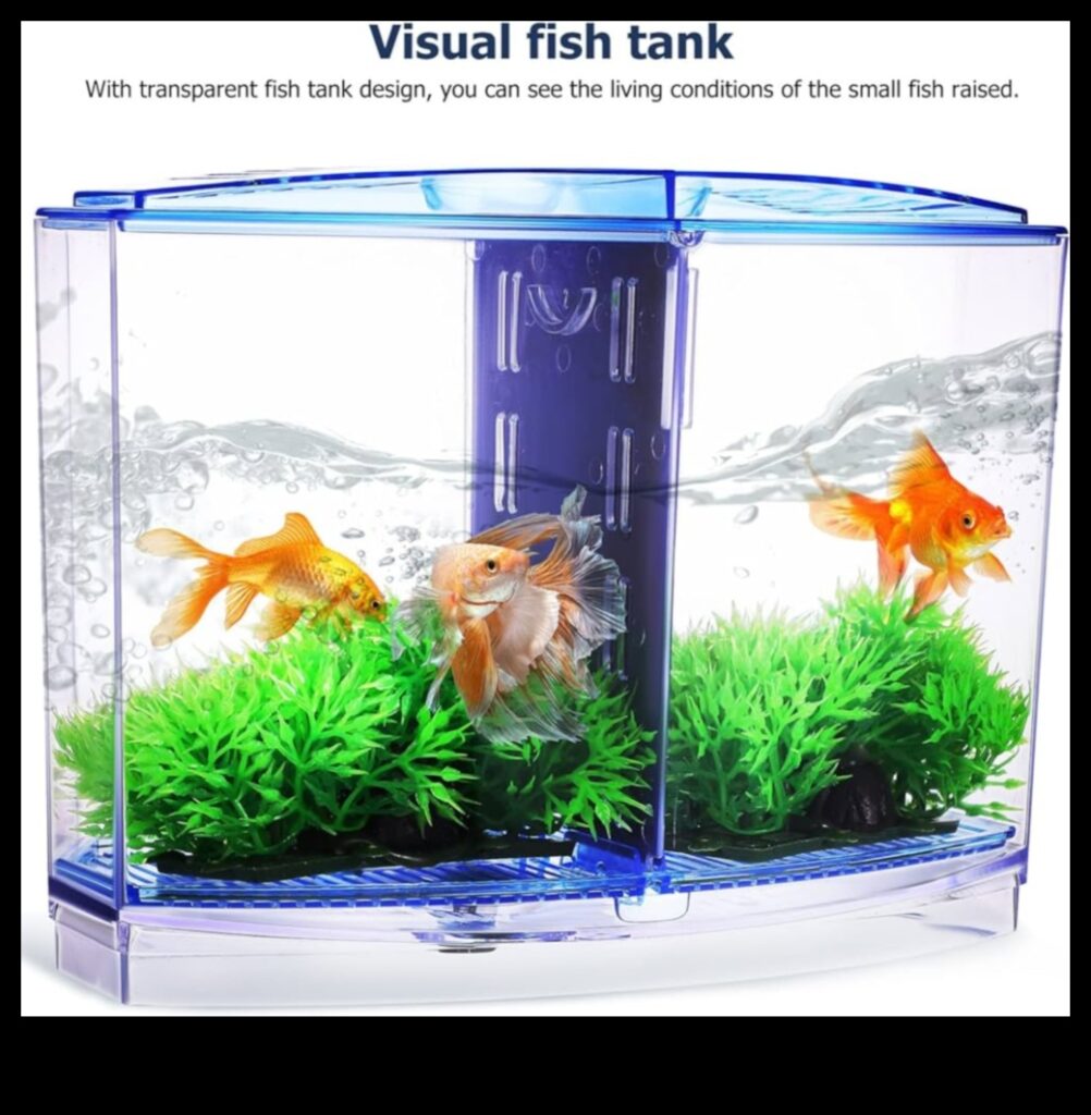 Fish Tank Fashion Show Styling Aquarium Pets with Accessories 1