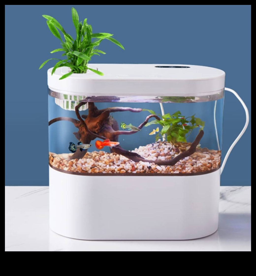 Fish Tank Fashion Show: Styling Aquarium Pets with Accessories