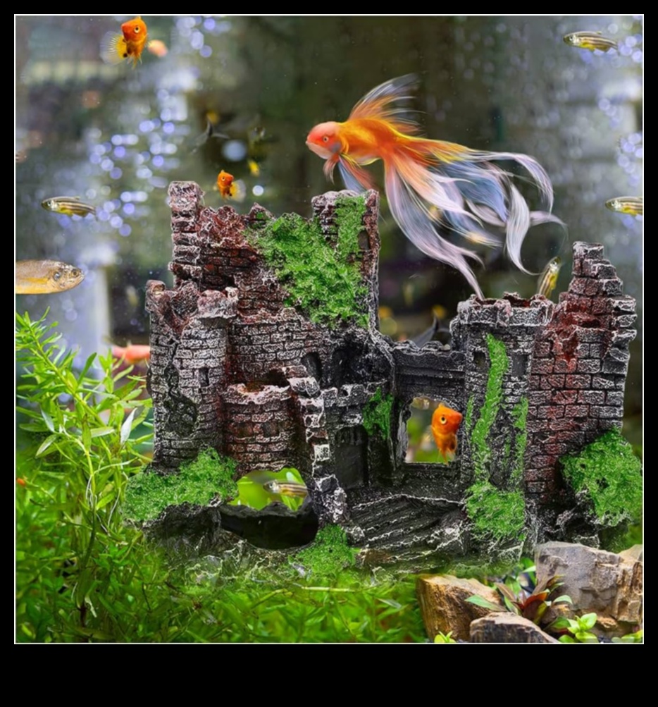 Fish Tank Fashion Show: Styling Aquarium Pets with Accessories