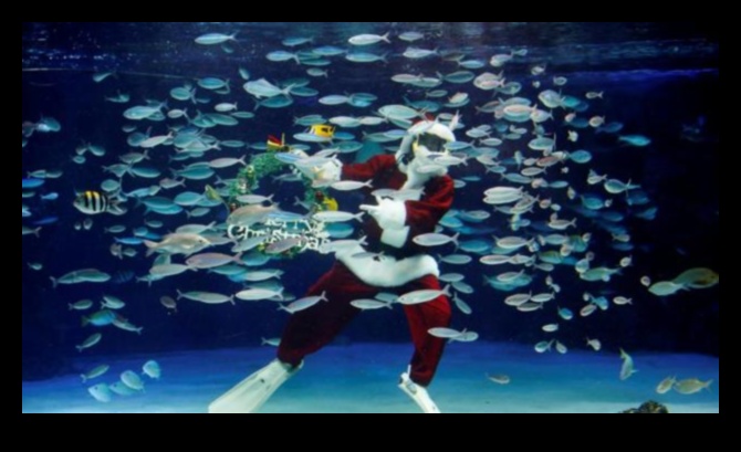 Fish Tank Festivities Continued: Hosting Underwater Celebrations