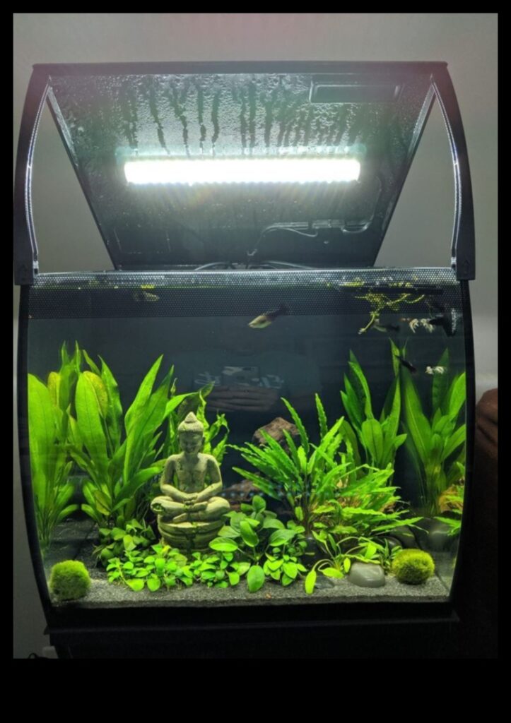 Fish Tank Finery 7 Stylish Finishing Touches for Your Aquarium 1