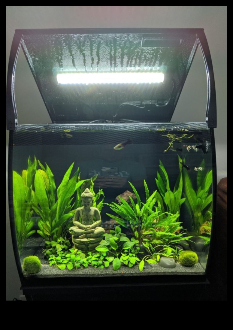 Fish Tank Finery: Finishing Touches for a Stylish Aquarium