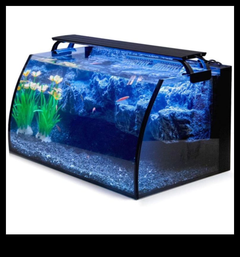 Fish Tank Finery: Finishing Touches for a Stylish Aquarium