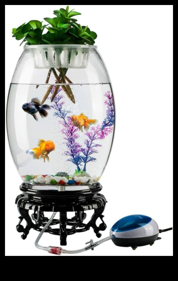 Fish Tank Finery Continued: Adding Finishing Touches for a Fashionable Aquarium