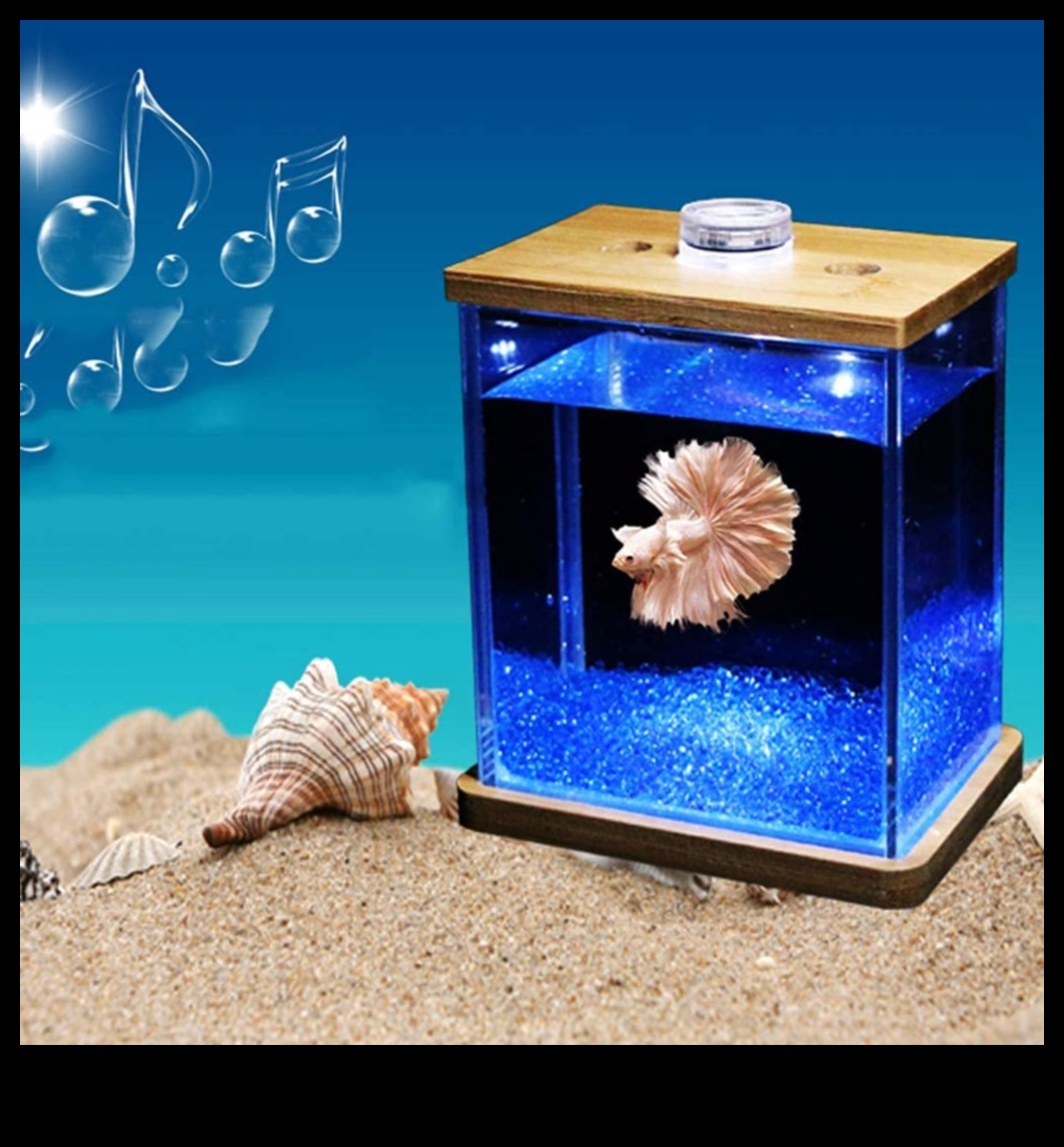 Fish Tank Finery Continued: Adding Finishing Touches for a Fashionable Aquarium