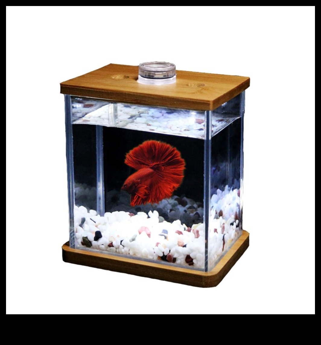 Fish Tank Finery Continued: Adding Finishing Touches for a Fashionable Aquarium