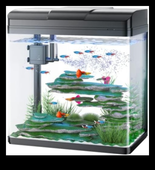 Fish Tank Finesse 5 Ways to Elevate Your Aquarium with Accessories 1