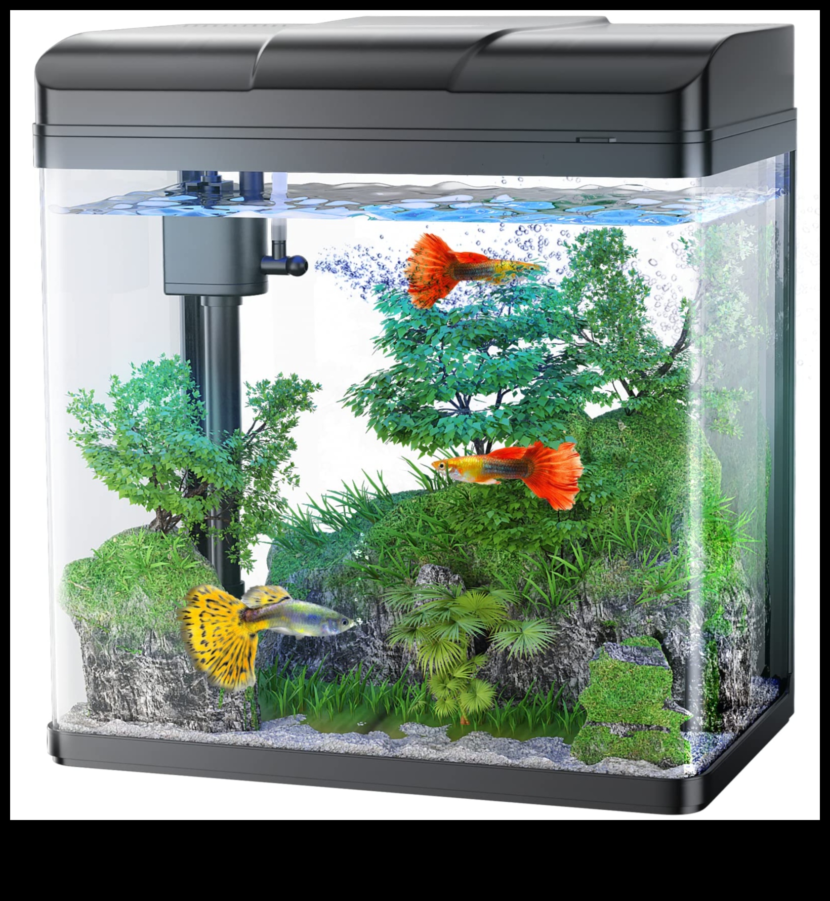 Fish Tank Finesse: Elevating Your Aquarium with Accessories