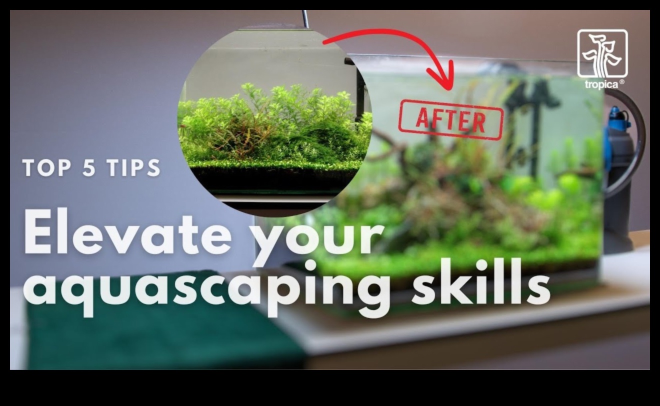 Fish Tank Finesse: Elevating Your Aquarium with Accessories